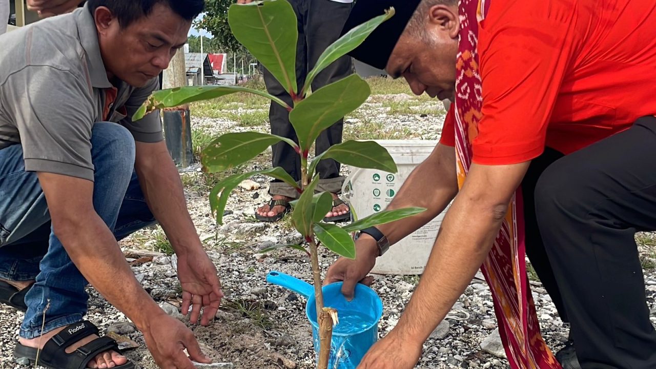 Gerakan Rakyat Tanam Pohon di Titik 0 Km Miangas, Tegaskan Komitmen Jaga Lingkungan