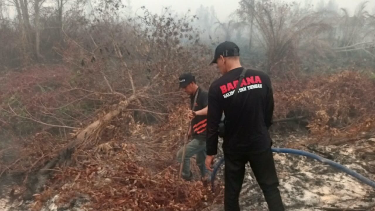Karhutla Lumpuhkan Palangka Raya, Gerakan Rakyat Kalteng Turun Tangan Lakukan Pemadaman